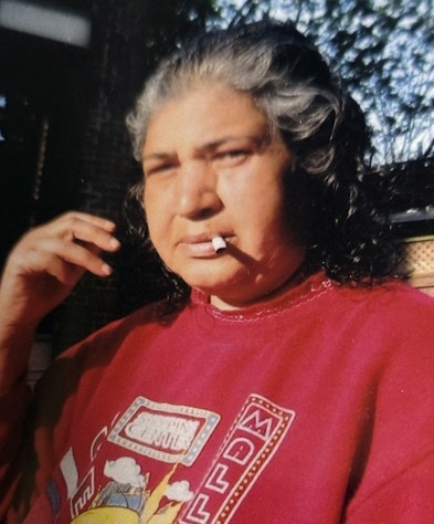 Toronto police ‘very concerned’ for missing woman as temperatures plummet