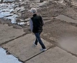 Toronto police searching for 80-year-old man missing from Scarborough area